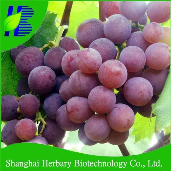Высококачественные мелкие ядра и сочные Виноградные семена для посева