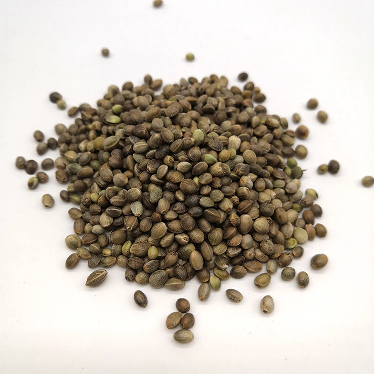 Лучшие семена конопли китайские промышленные оптом для оптовой продажи