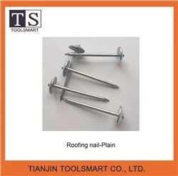 Galvanized roofing nail