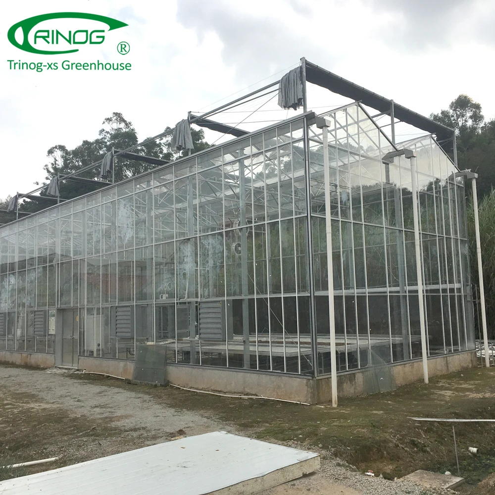 Dutch type glass covered greenhouse hydroponics system for vegetable