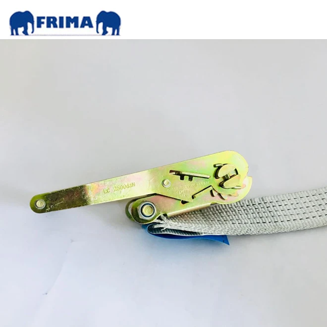 10m/5Ton Heavy Duty Lashing Ratchet Tie Down Polyester Webbing Strap with Electric Galvanized D Shackle for Vehicle Transport