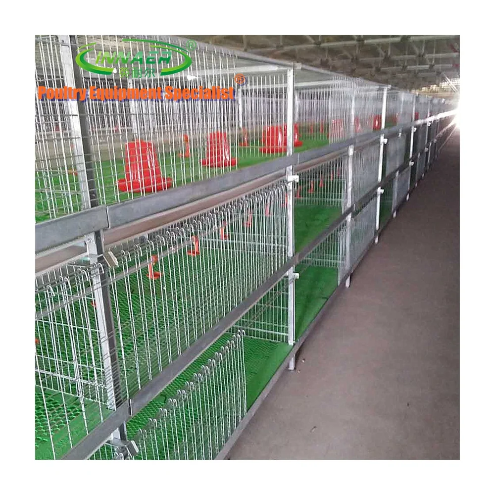 battery chicken cage for commercial broiler