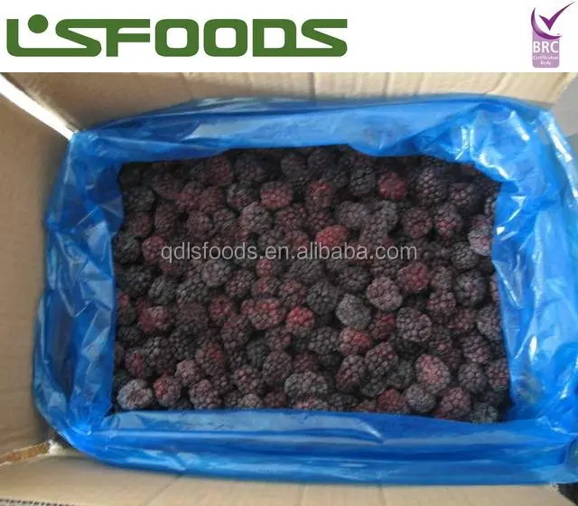 
China Wholesale Frozen Blueberry Bulk frozen blackberries 