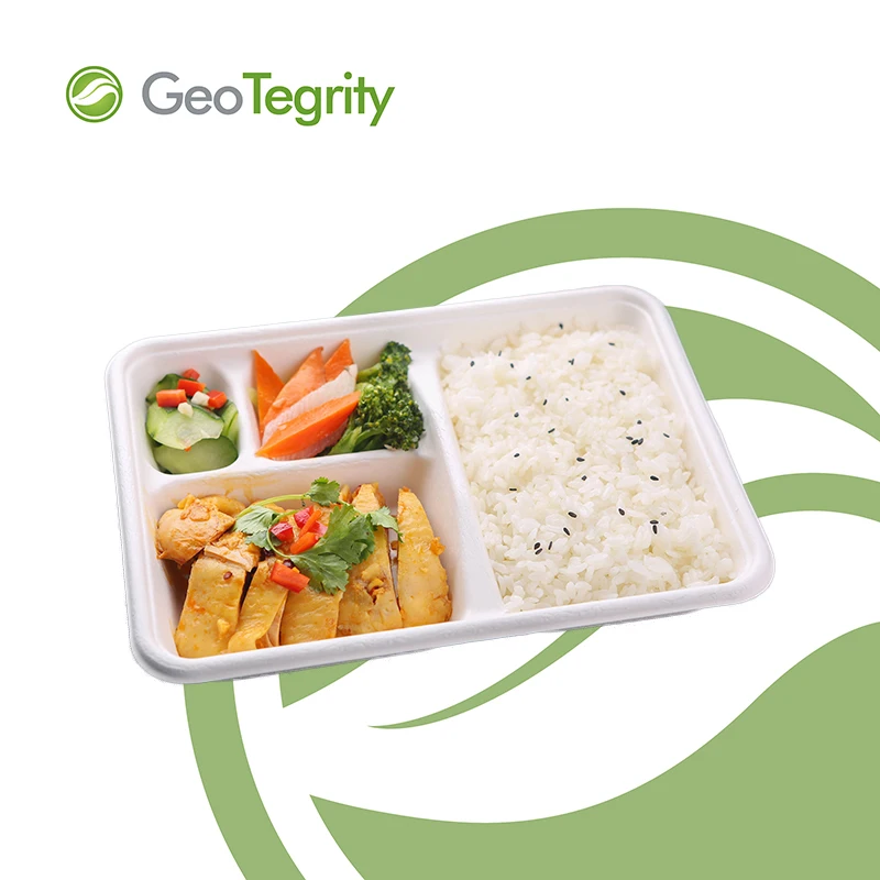 
Rectangle Four Compartment Kids Trays Food Trays With Lid School Trays 