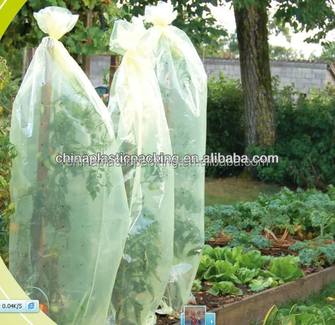 
PE plastic tomato growing protective tube film 
