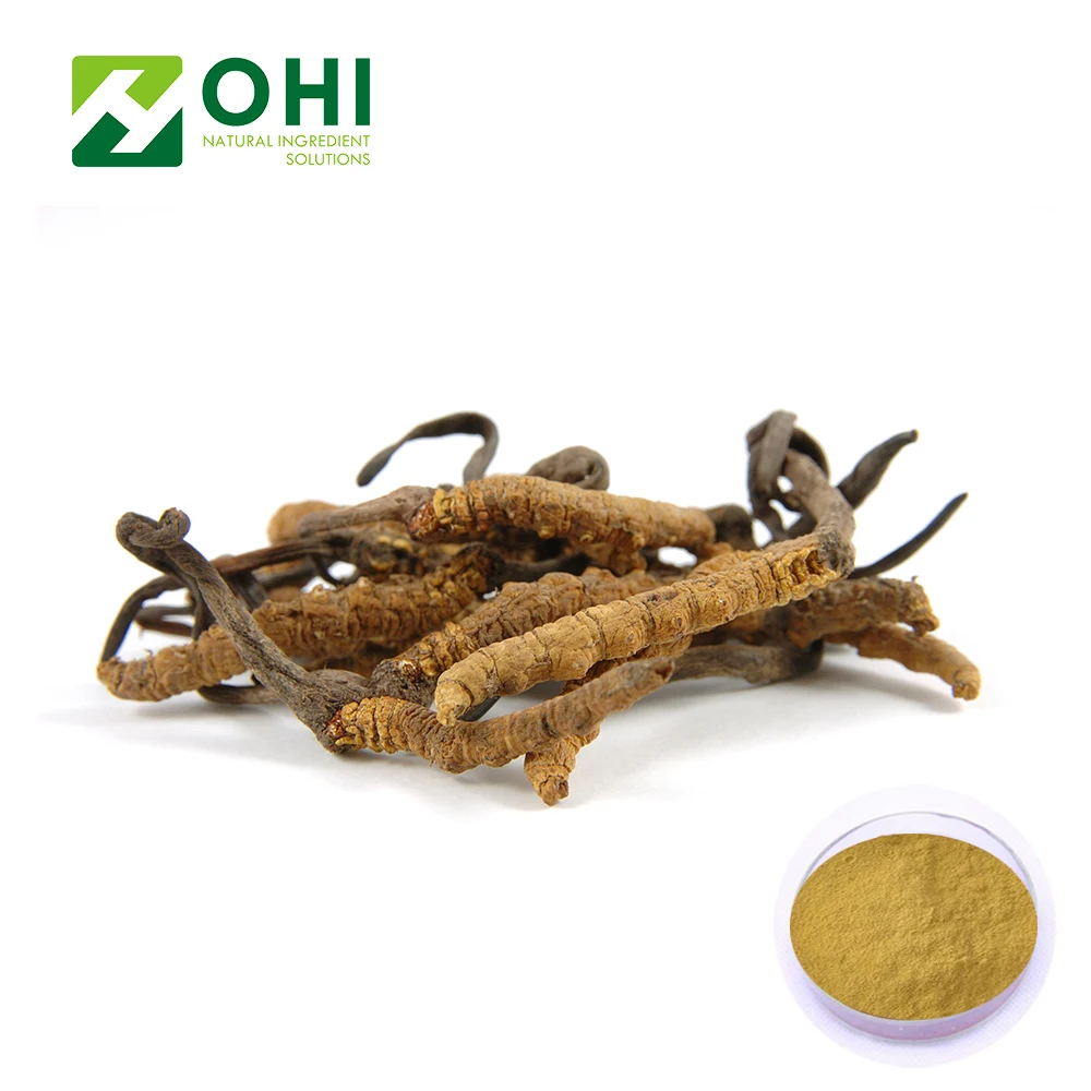 UV-VIS 20% 40% 50% Polysacharides Cordyceps Sinensis Extract GMP certificated factory Mycelium extract