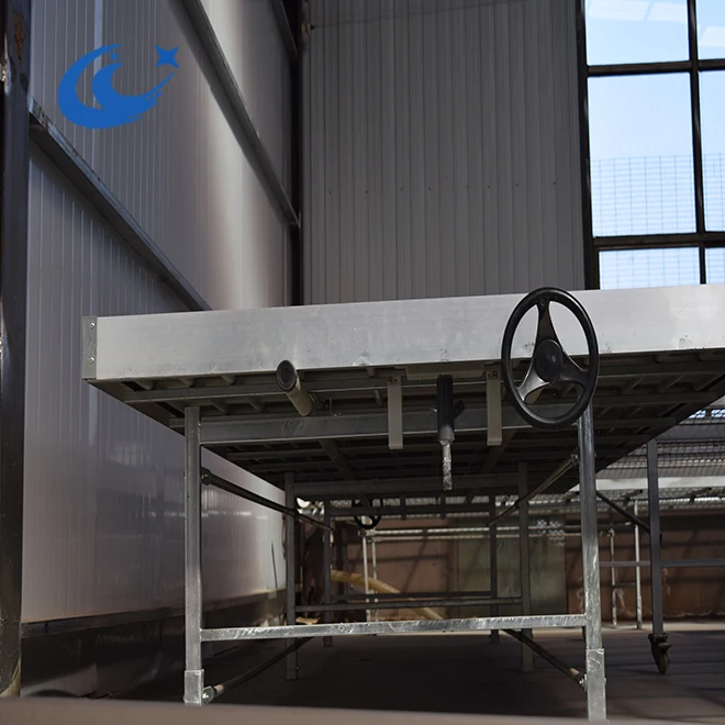 Greenhouse Planting for or vegetable plastic Seed trays/seedings( on ebb table)