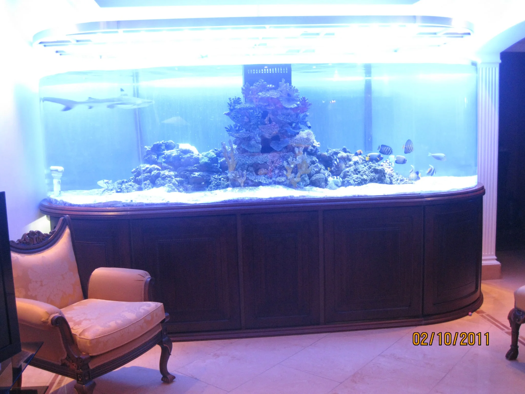 acrylic aquarium / mini fish tank / led aquarium accessories