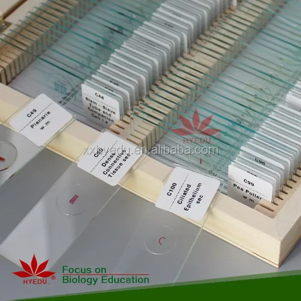 Высококачественный микроскоп 100 шт. в комплекте готовые слайды с прямой фабрики