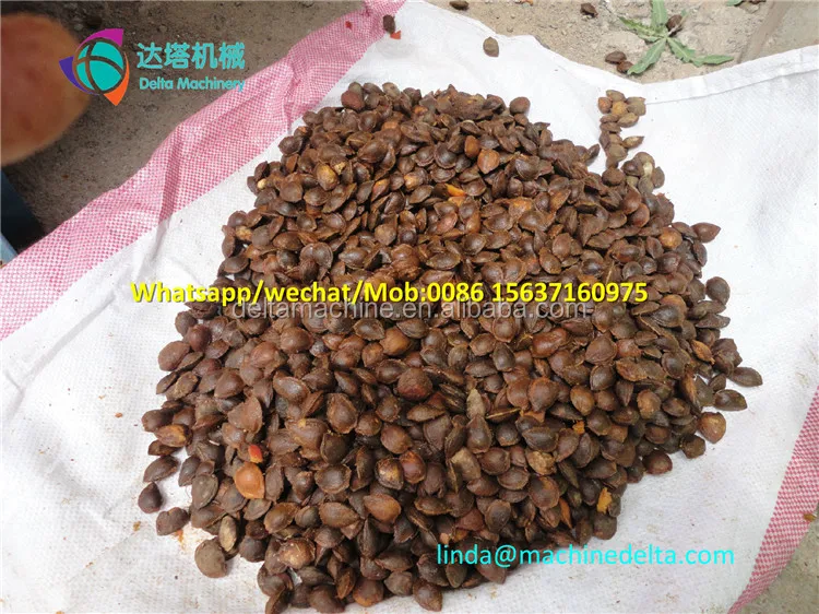 Industrial almond shell and kernel separating machine/apricot seed remover apricot seed getting machine
