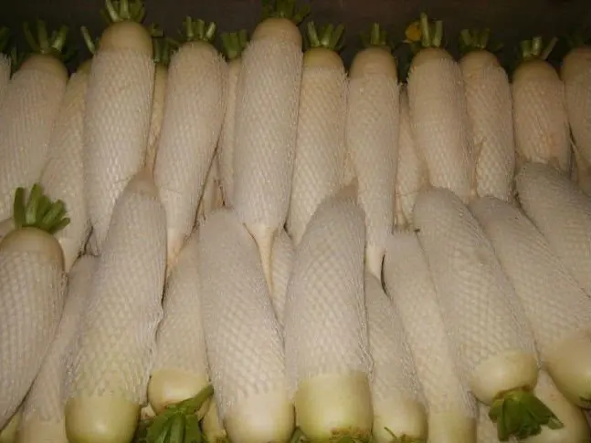 
hot sale fresh white turnip 