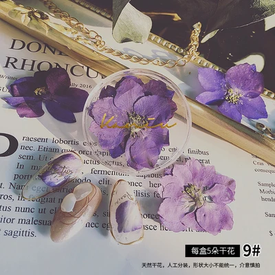 Manicure Ultra-thin Natural Dried Flowers Japanese Summer Cherry Blossom Dry Flowers For Nail Art