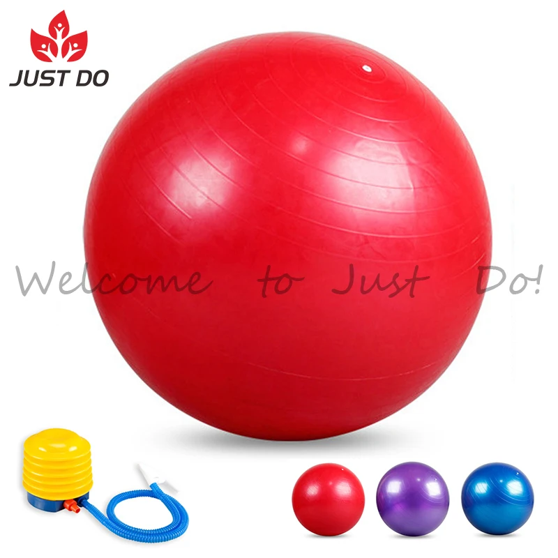 
Cheap Stocked High Density Custom 65cm Yoga Exercise Stability Ball 