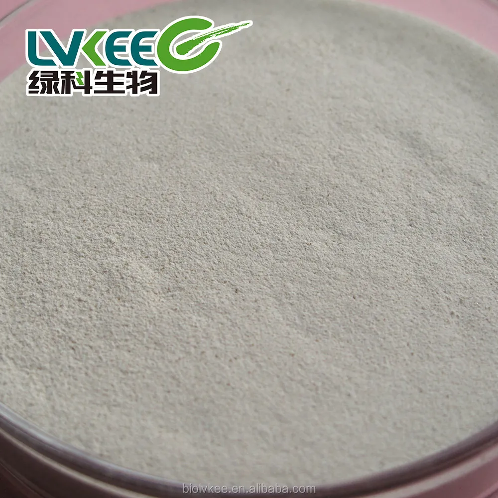 20 bilion cfu/g Probiotics Bacillus Cereus Powder for aquaculture in china