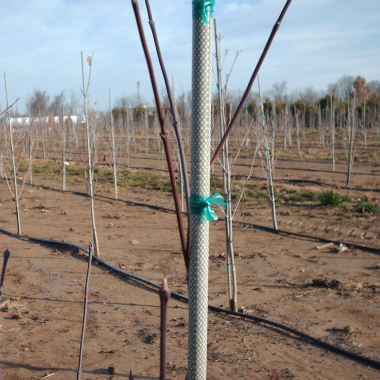 UV resistant long service life fiberglass nursery tree stakes
