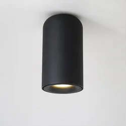 Aisilan лестницы узкий луч Яркий фокус антибликовый потолок cob точечный светодиодный светильник