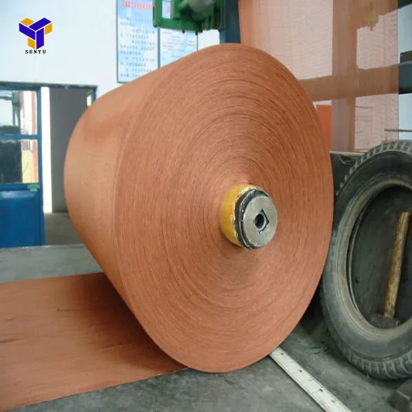 Best quality polyester dipped tire cord fabric for making tyre