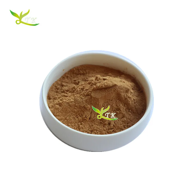 
Natural Fresh Burdock Root Extract/Burdock Root Powder 