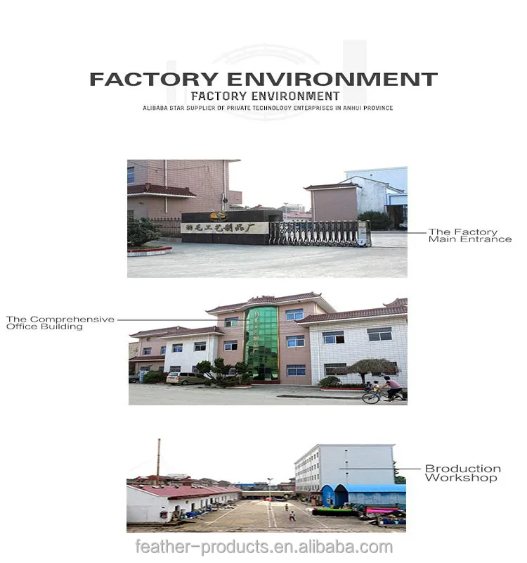 Indoor sporting shuttlecock,China Factory Top Quality Badminton Ball