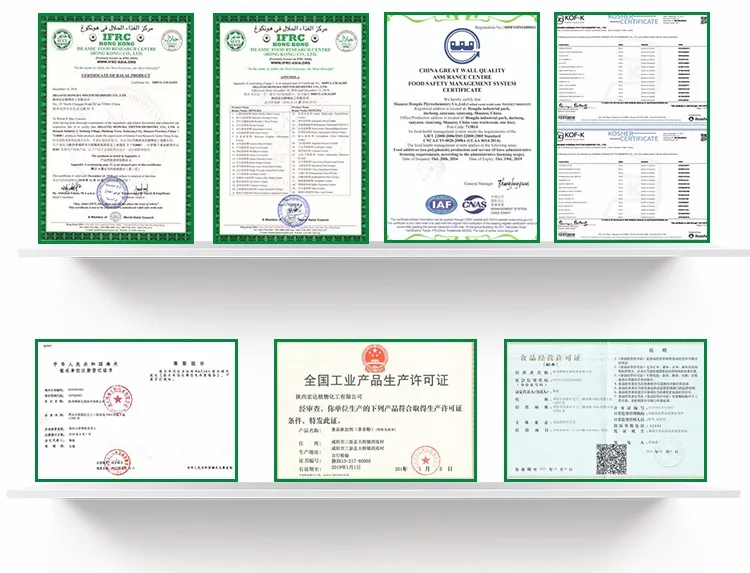 
Natural Weight Loss Product Garcinia Cambogia Extract 60% HCA Powder 