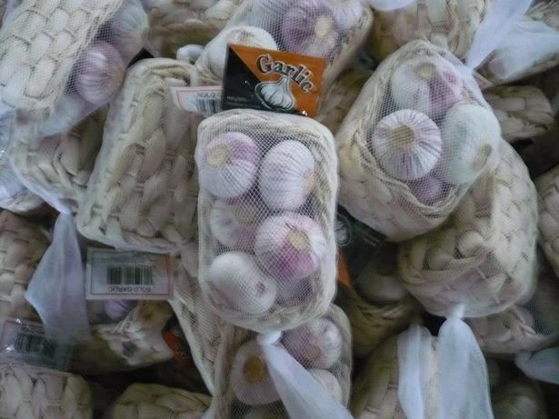 Fresh Solo garlic single clove garlic factory directly supply