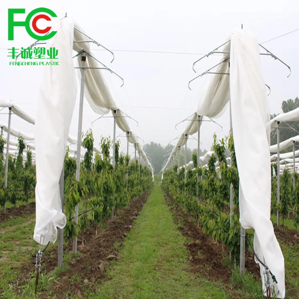 Сверхпрочный прозрачный Плетеный защитный чехол для теплицы/сада вишни