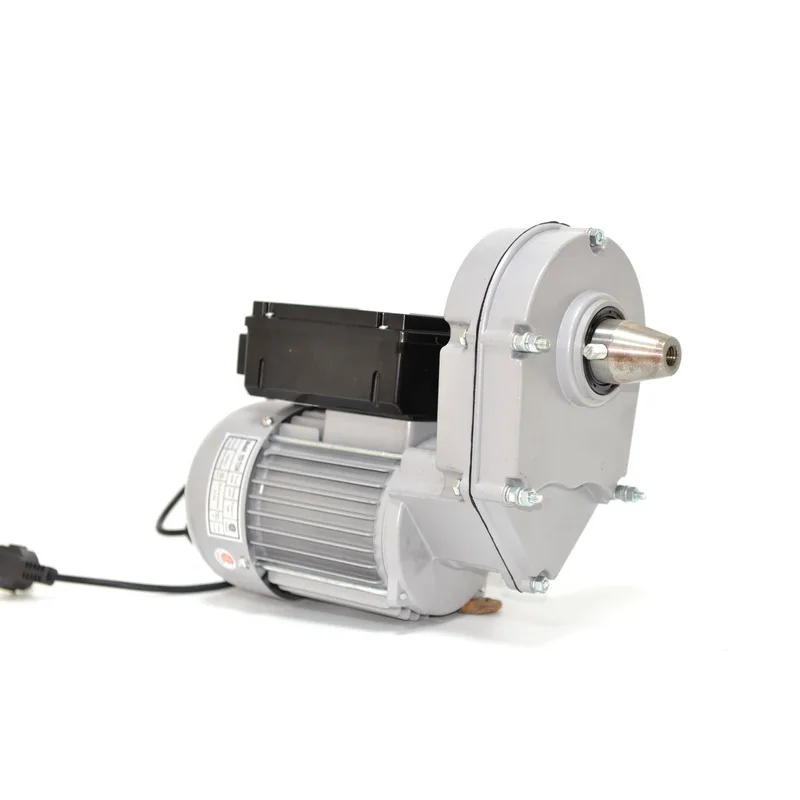 220V Small Electric AC Low Speed Gear Motor for Concrete Faucet Chinese