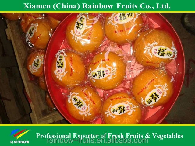 
Hot Sale Fresh Sweet High Quality Ponkan/Lugan Mandarin Orange 