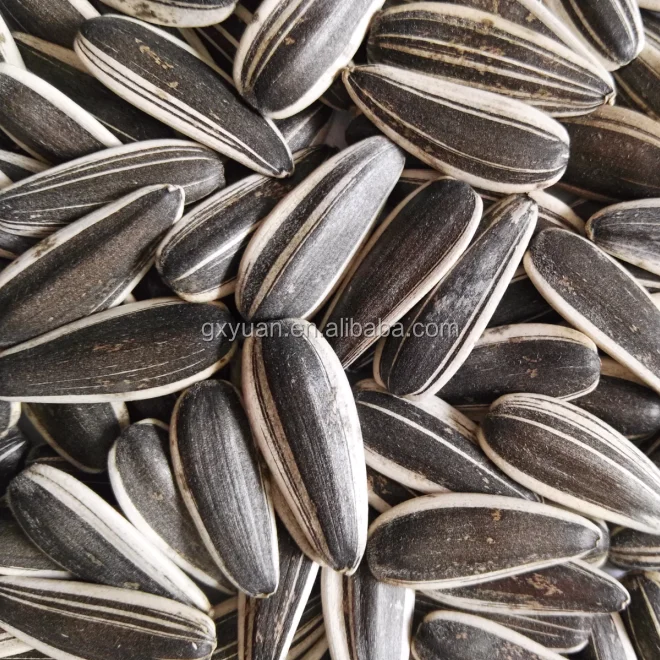 
Chinese sunflower seeds,top high quality 