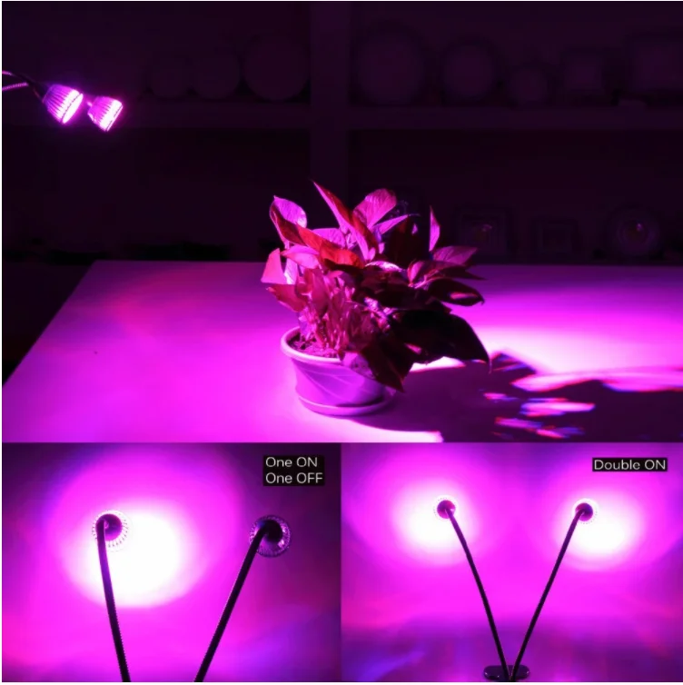OEM/ODM  USB Connector Two Head  12V 10W LED Grow Light Indoor Plant