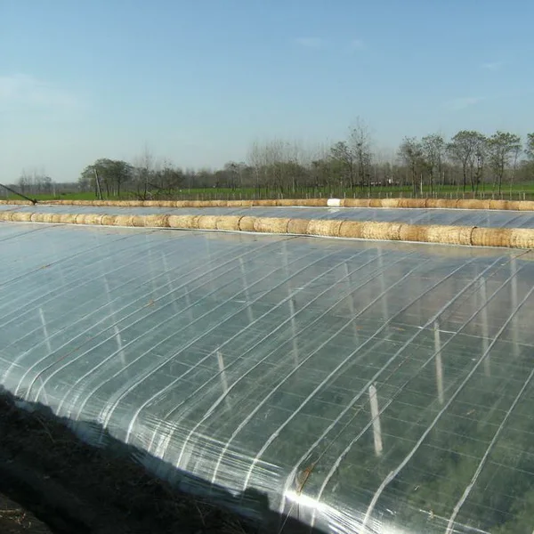 Сельское хозяйство полиэтиленовой пленки высокого качества ЕВА тепличной пленки