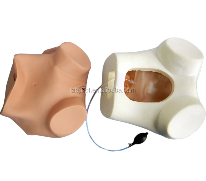 Multi-functional Gynecologist Nursing Training Manikin Vaginal Examination Model