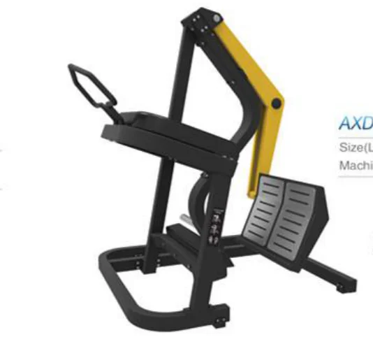 commercial free weight gym machines professional