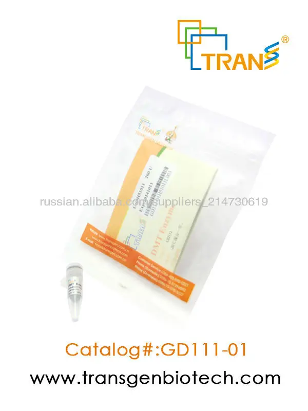 dmt фермента