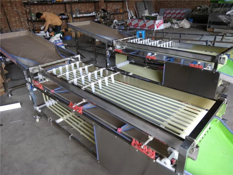 2m Length 9 Pathway Fruit Grading Sorting Machine
