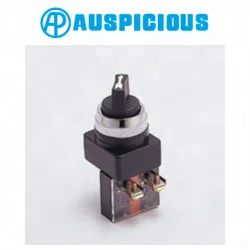 Переключатель ручного типа 25 мм 30 2 или 3 положения (SS-25/30)