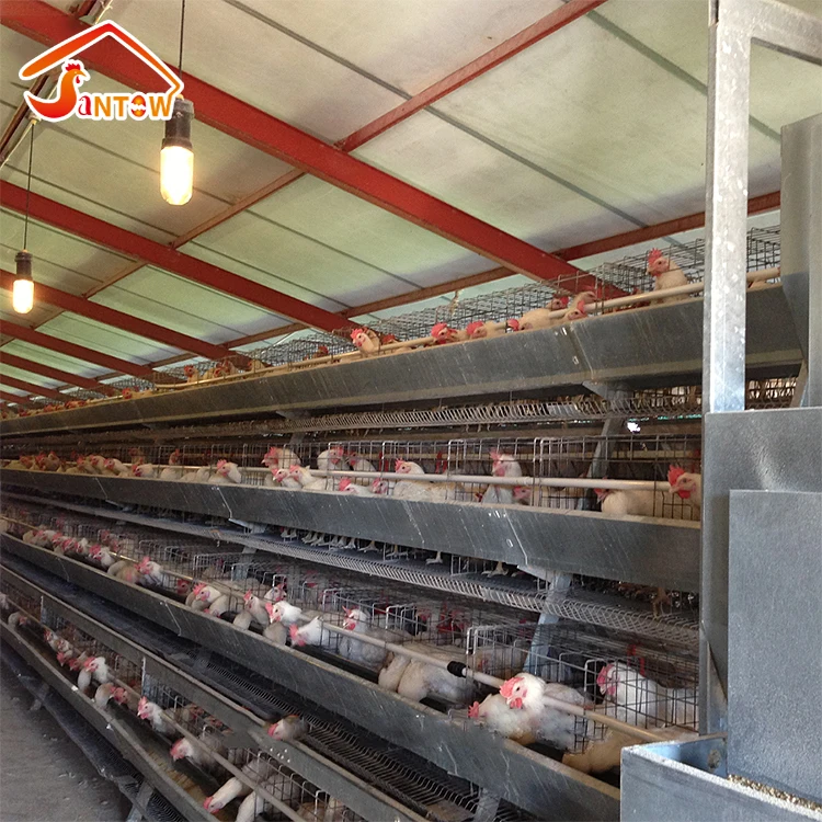 hot galvanizing chicken cage for poultry equipment A type 3 tier 4 tiers 160 birds chicken layer battery cage for sale