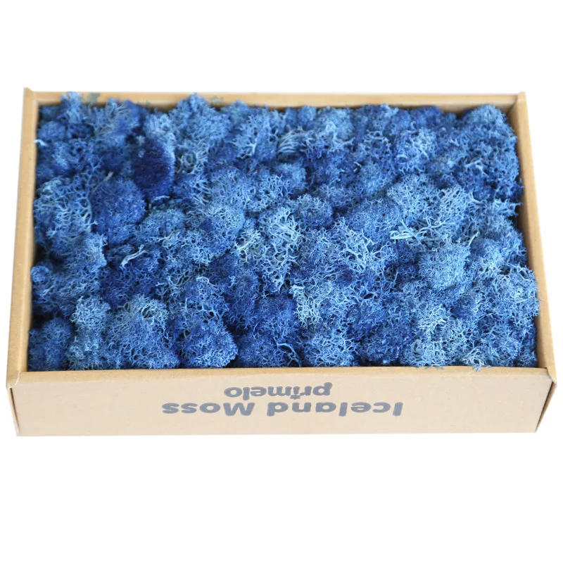 wholesale decorative moss 10 colors real touch preserved immortal moss for wedding backdrop decoration