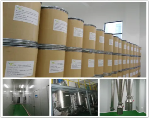 
Top Quality Dried Earthworm Powder Earthworm Extract For Sale 