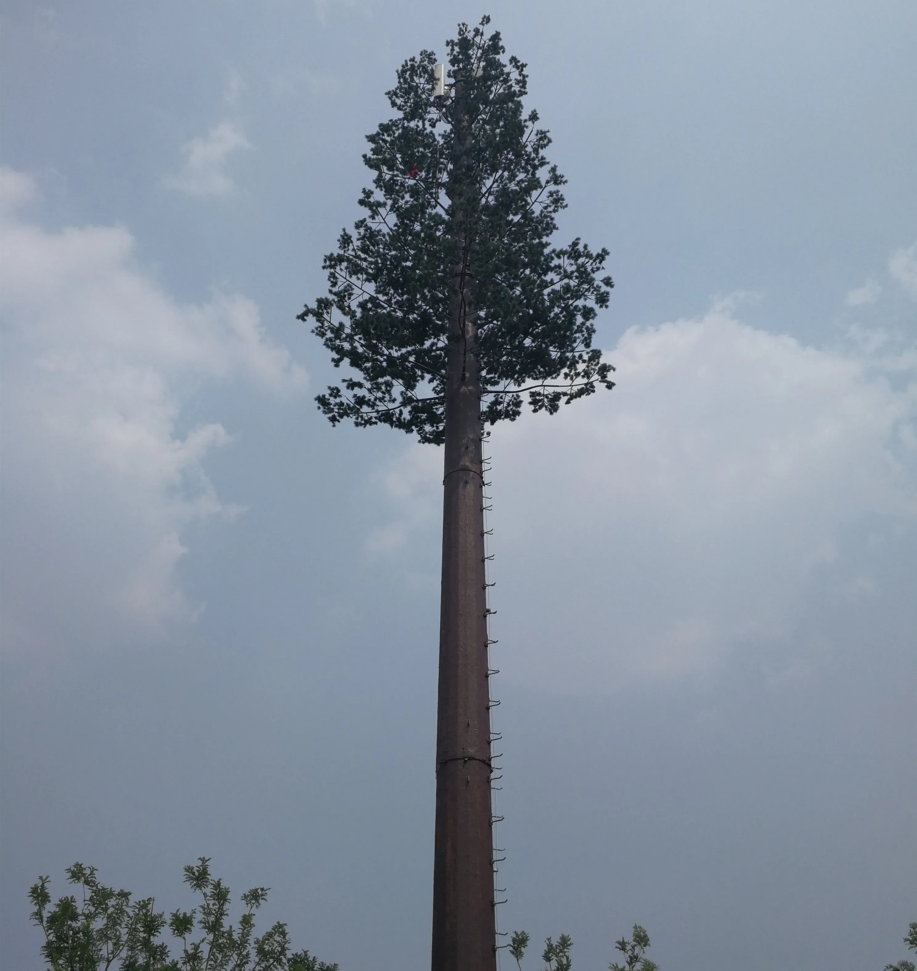 Оцинкованная стальная трубка, замаскированная башня деревьев, сигнальная башня телекоммуникации, сделано в Китае