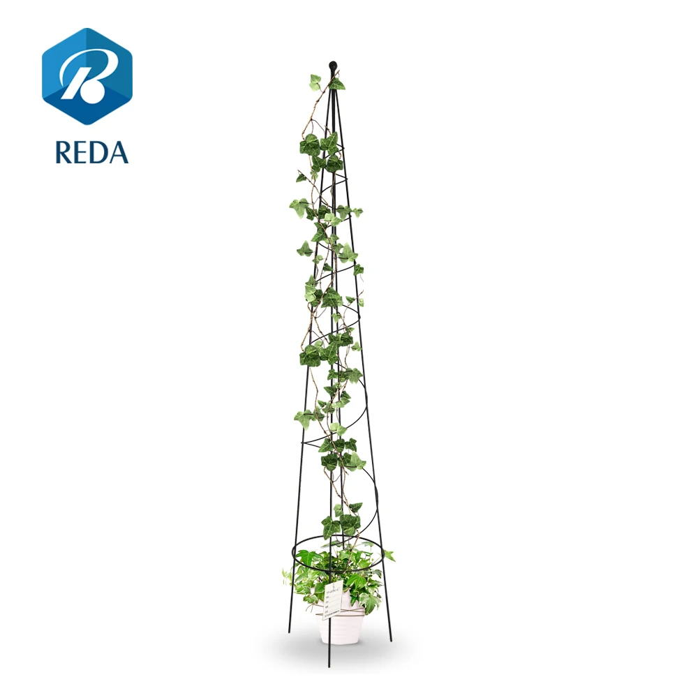 
Wholesale metal outdoor garden plant and flower stand/cone shape climbing plant support 