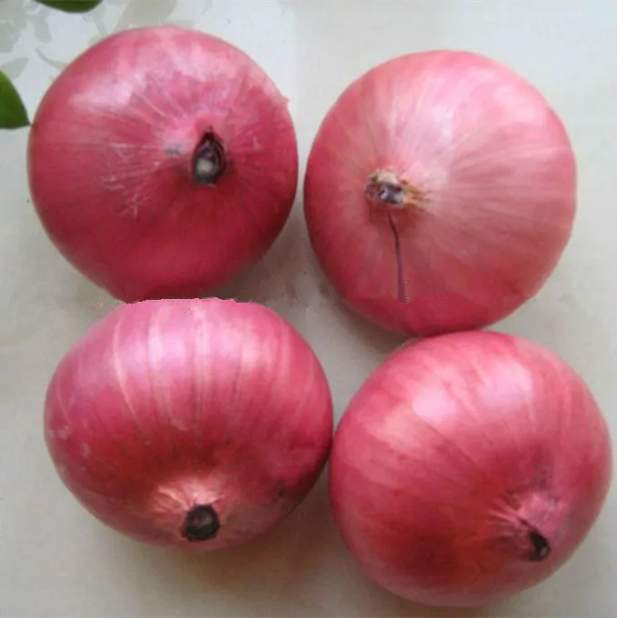 Chinese Best Quality Fresh Red Onion 7cm
