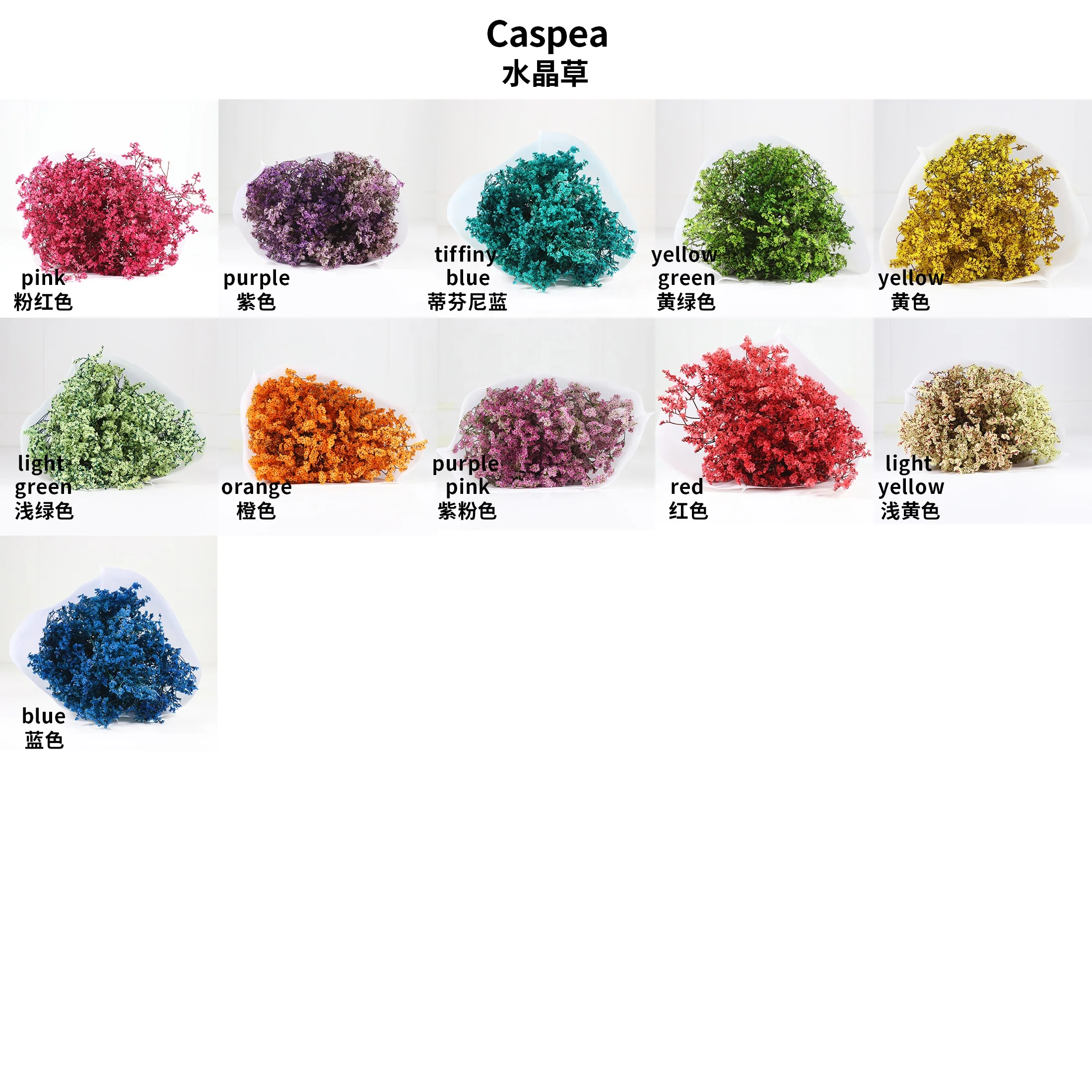 Лидер продаж, сохраненный цветок ЛИМОНИЯ Caspea высокого качества для украшения дома или хобби