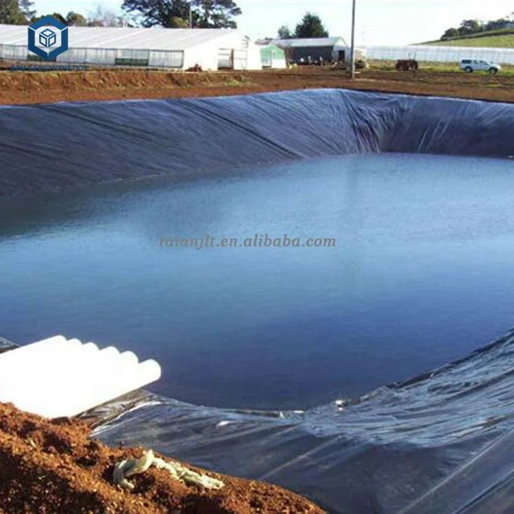 500 микрон толщина геомембранный Sheeting Pond
