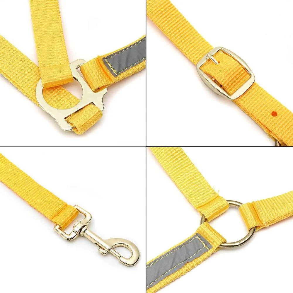 PP Fluorescent Yellow Horse Collar Bridle Halter with Light Reflective Tape High Visibility for Horse Riding Equestrian S/M/L/XL