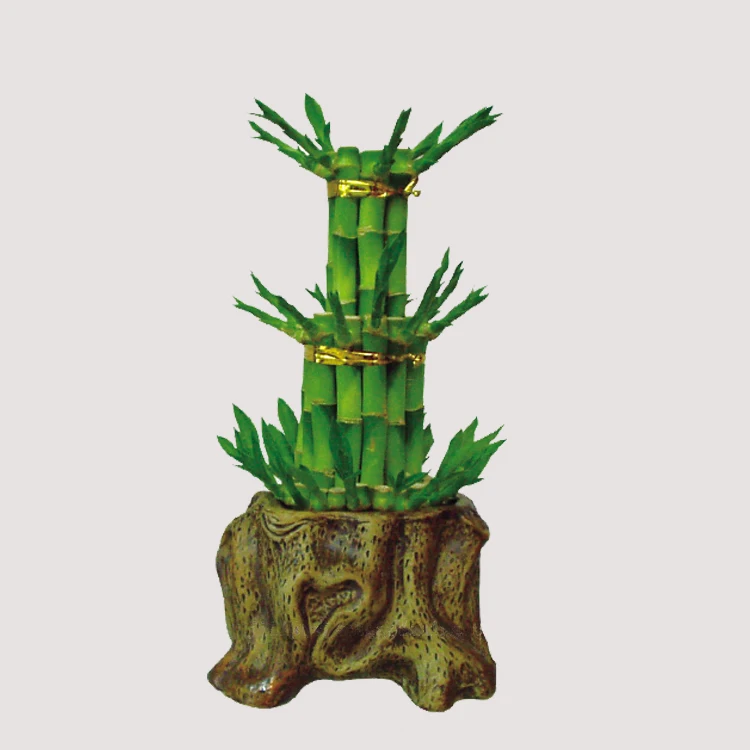 
lucky bamboo tower 3 layer dracaena sanderiana plants 