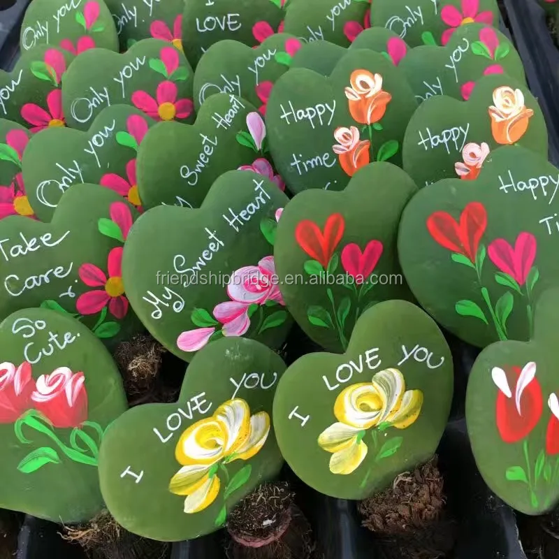 
 Окрашенный Hoya cordata  