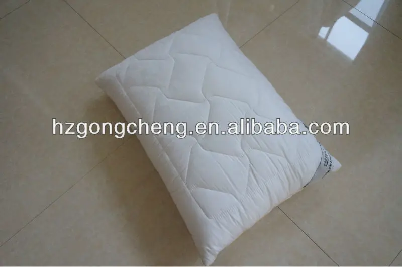 
Warm and soft Tencle silkworm protein Pillow 100% polyester 
