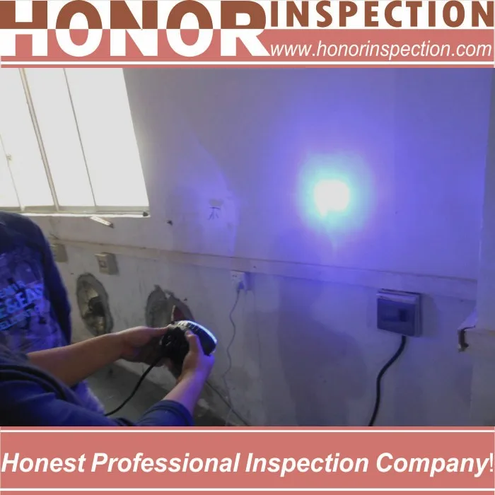 inspection services international new sex video service in shenzhen
