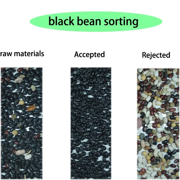 Custom Black Bean Color Sorter Machine Intelligent CCD Cereals Color Sorter